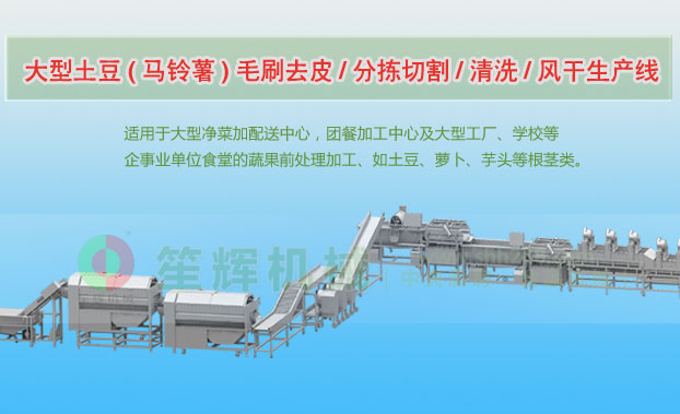 宝鸡连续式土豆去皮清洗切割风干生产线